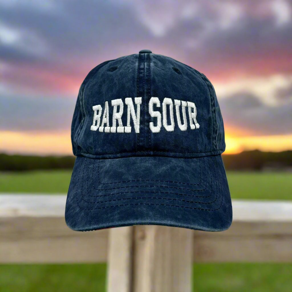 Barn Sour Hat