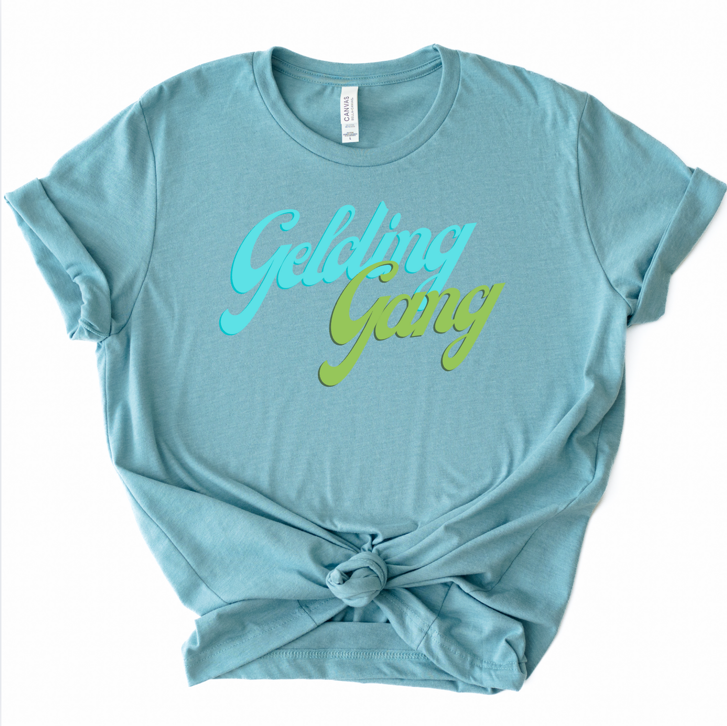 Gelding Gang Horse Girl T-Shirt