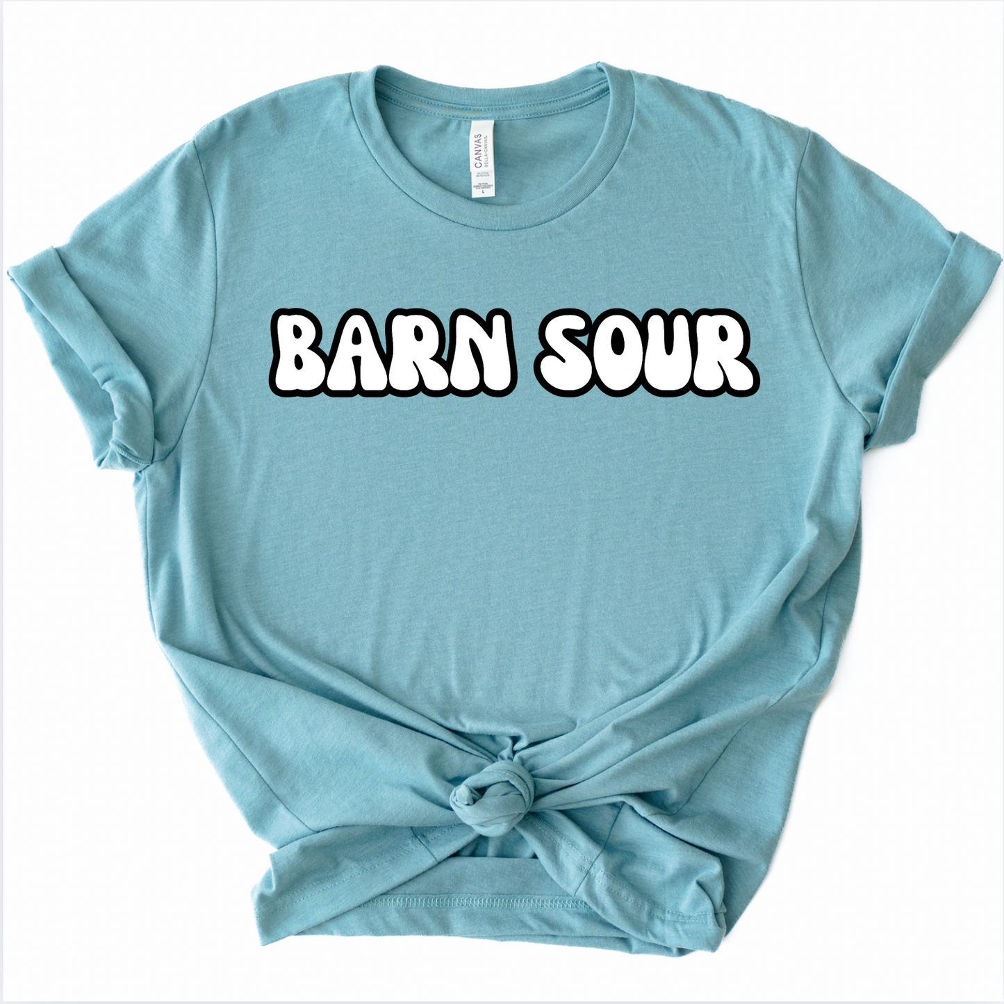 Barn Sour Horse Girl Graphic T-Shirt