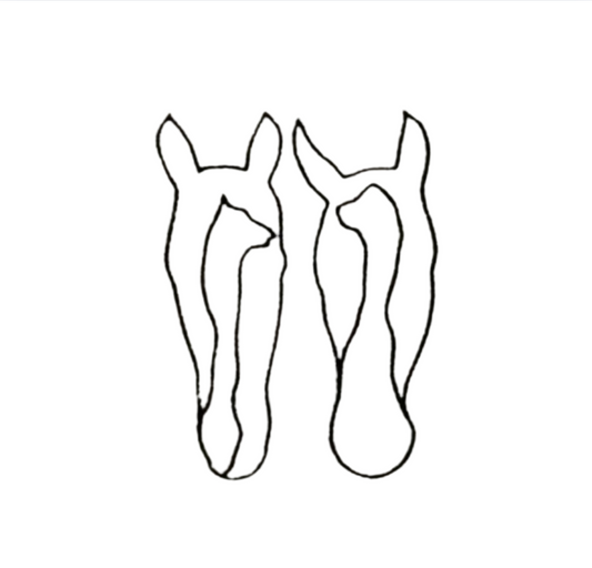 Additional Horse Outline